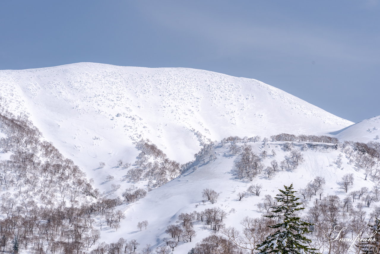 キロロリゾート　本当に明日でシーズン終わり？！まだまだ積雪豊富なキロロでGW春スキーを満喫(*^^*)